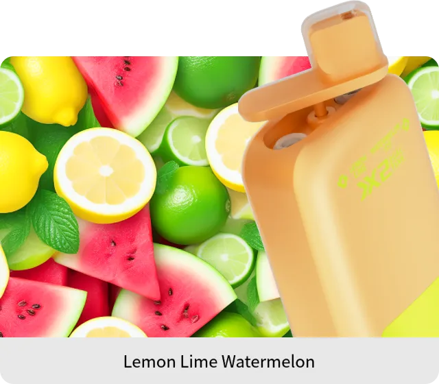 VapSolo Twins - Lemon Lime & Watermelon Ice 20K 5-Pack
